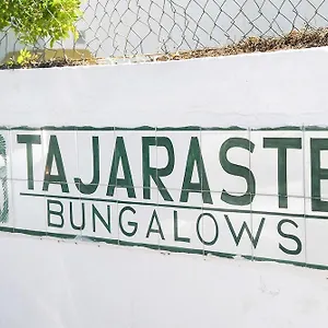 Tajaraste , Playa del Inglés Spanje